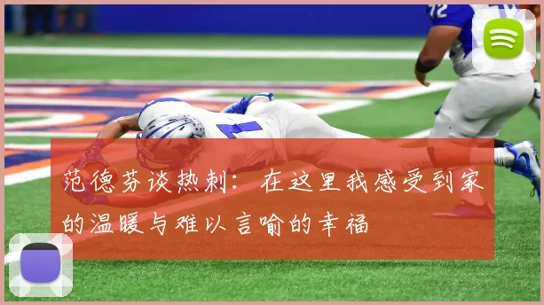 范德芬谈热刺：在这里我感受到家的温暖与难以言喻的幸福