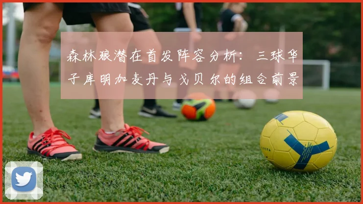 森林狼潜在首发阵容分析：三球华子库明加麦丹与戈贝尔的组合前景如何